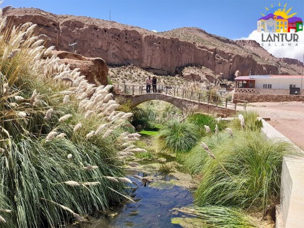 Tour Géiser El Tatio y Alto Loa - Imagen 14