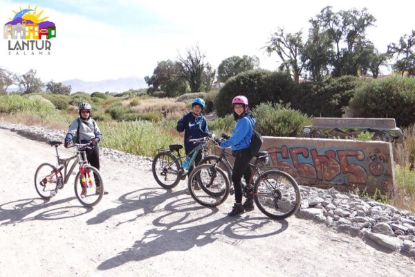 Ciclo tour ruinas del río Loa