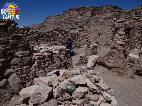 Tour Puente de Conchi, y Alto Loa - Imagen 19
