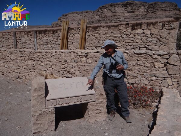 Tour Puente de Conchi, y Alto Loa - Imagen 20