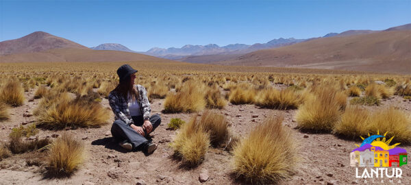 Tour Géiser El Tatio y Alto Loa - Imagen 13