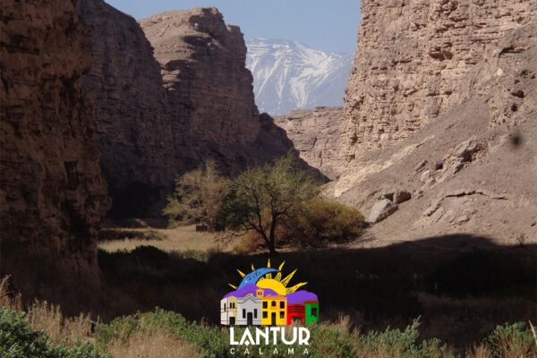 Tour Puente de Conchi, y Alto Loa - Imagen 18