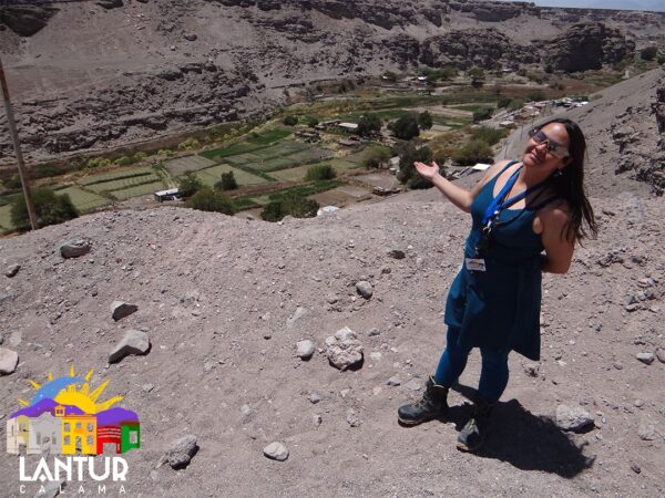Tour Puente de Conchi, y Alto Loa - Imagen 17