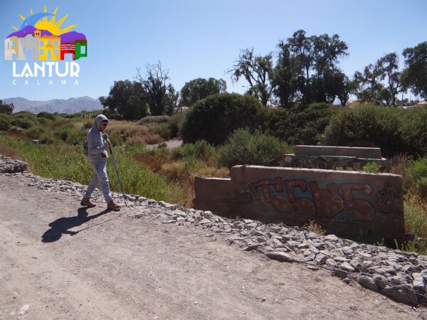 Trekking ruinas del río Loa